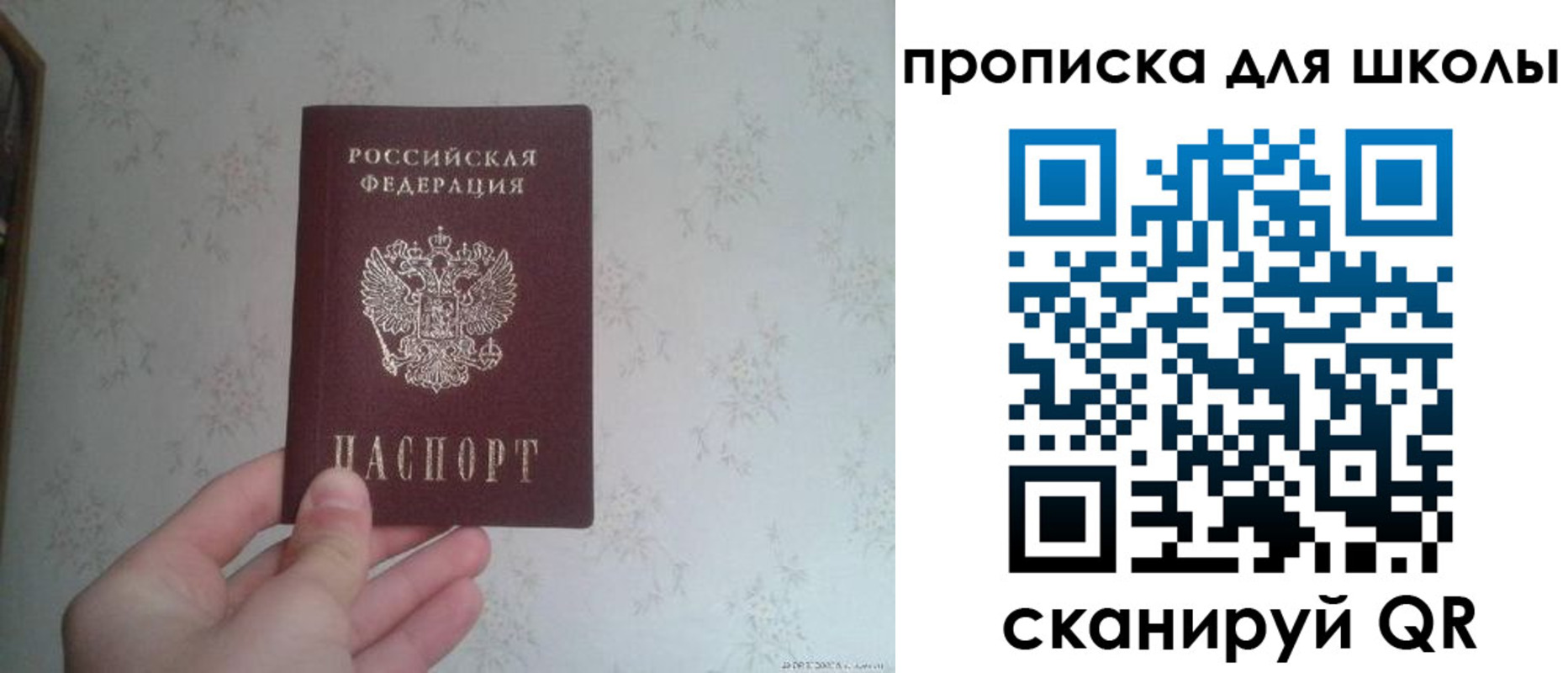 прописка в квартире в Камчатской области